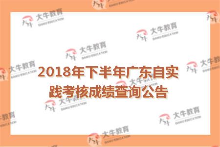 2018下半年广东自考实践考核成绩查询