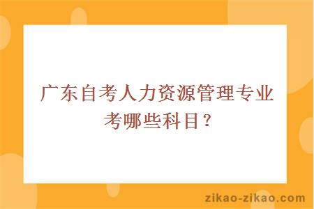 广东自考人力资源管理专业考哪些科目？