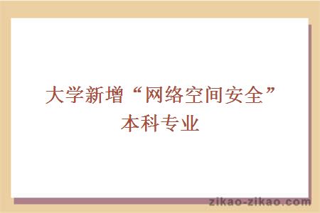 大学新增“网络空间安全”本科专业