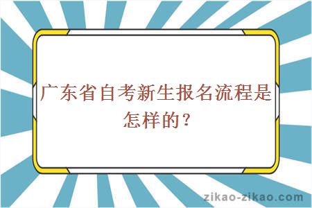 广东省自考新生报名流程是怎样的？
