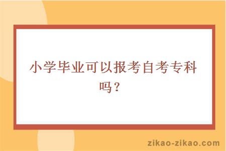 小学学历报考自考专科