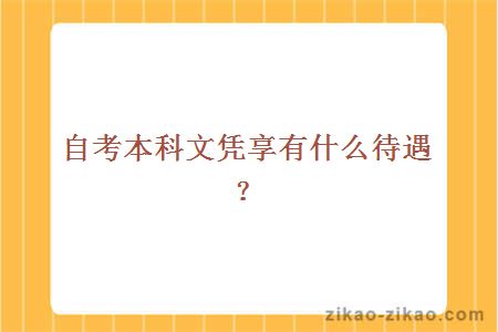 自考本科文凭享有什么待遇？
