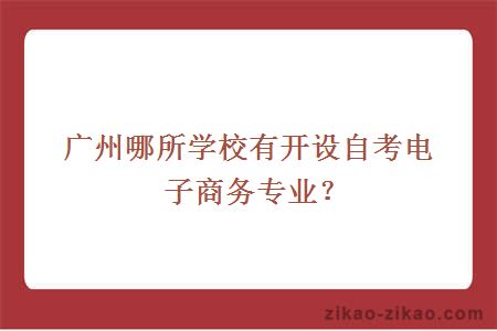 广州哪所学校有开设自考电子商务专业？