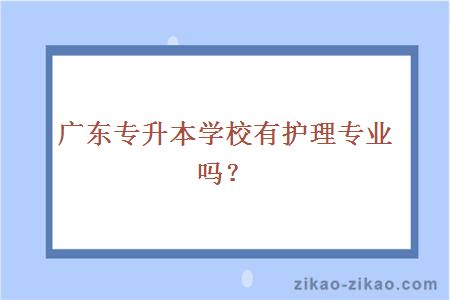 广东专升本学校有护理专业吗