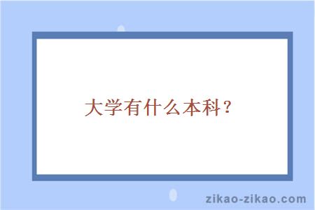 大学有什么本科