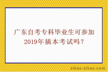 广东自考专科毕业生可参加2019年插本考试吗？