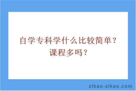 自学专科学什么比较简单？课程多吗？