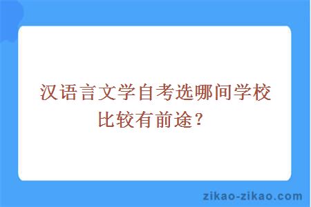 汉语言文学自考选哪间学校比较有前途？