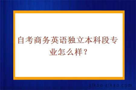 自考商务英语独立本科段专业怎么样？