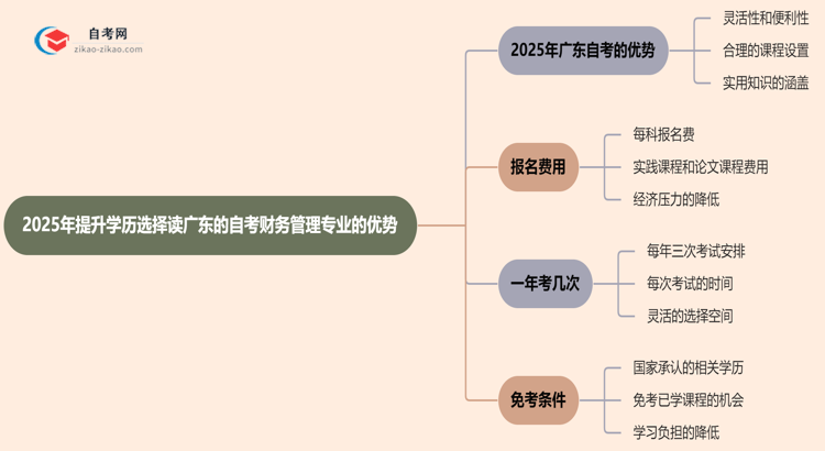 2025年提升学历选择读广东的自考财务管理专业有哪些优势？思维导图