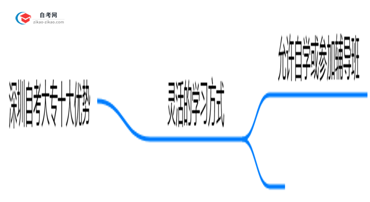 深圳自考大专十大优势2025年职场晋升学历提升指南思维导图