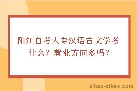 阳江自考大专汉语言文学考什么？就业方向多吗？