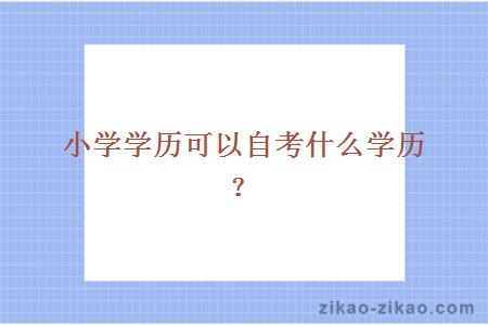 小学学历可以自考什么学历？
