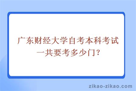 广东财经大学自考本科考试一共要考多少门？