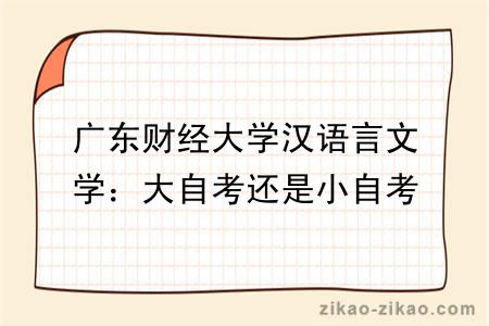 广东财经大学汉语言文学：大自考还是小自考？