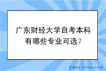 广东财经大学自考本科有哪些专业可选？