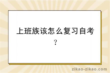 上班族该怎么复习自考？