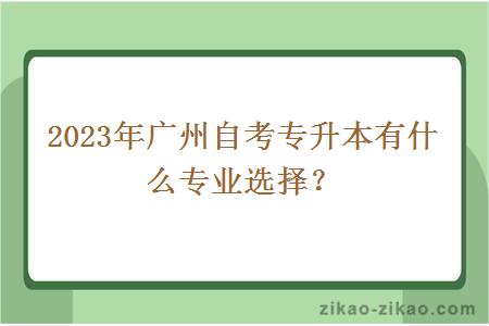 2023年广州自考专升本有什么专业选择？