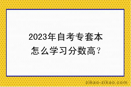 2023年自考专套本怎么学习分数高？