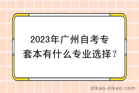 2023年广州自考专套本有什么专业选择？