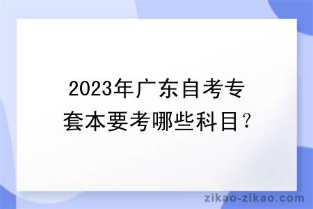 2023年广东自考专套本要考哪些科目？
