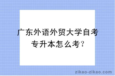 广东外语外贸大学自考专升本怎么考？