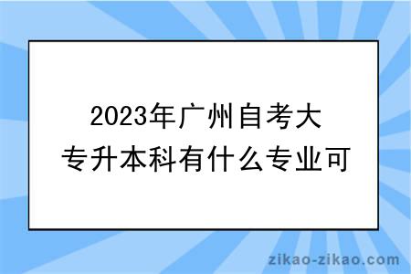 2023年广州自考大专升本科有什么专业可以选择？
