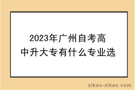2023年广州自考高中升大专有什么专业选择？