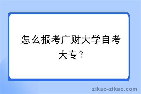 怎么报考广财大学自考大专？