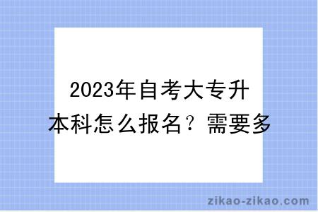 2023年自考大专升本科怎么报名？需要多少钱？