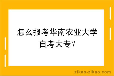 怎么报考华南农业大学自考大专？