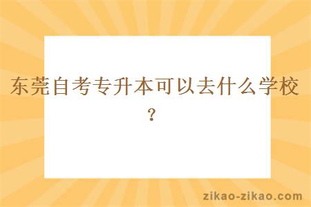 东莞自考专升本可以去什么学校？