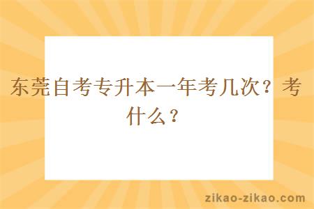 东莞自考专升本一年考几次？考什么？