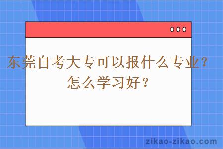 东莞自考大专可以报什么专业？怎么学习好？