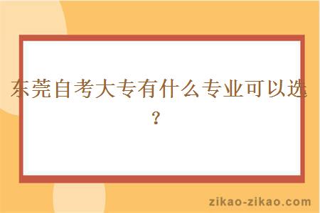 东莞自考大专有什么专业可以选？