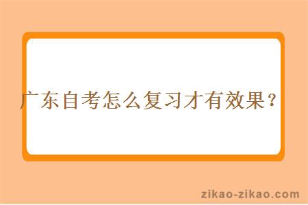 广东自考怎么复习才有效果？