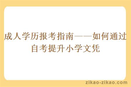 成人学历报考指南——如何通过自考提升小学文凭