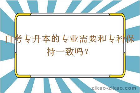 自考专升本的专业需要和专科保持一致吗？