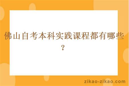 佛山自考本科实践课程都有哪些？