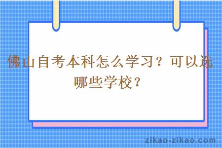 佛山自考本科怎么学习？可以选哪些学校？