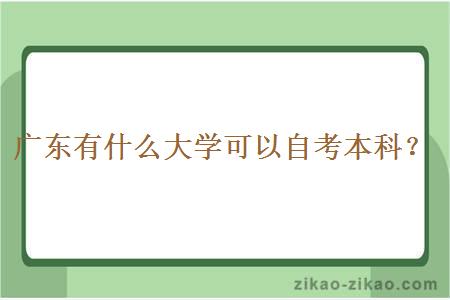 广东有什么大学可以自考本科？