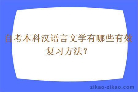 自考本科汉语言文学有哪些有效复习方法？