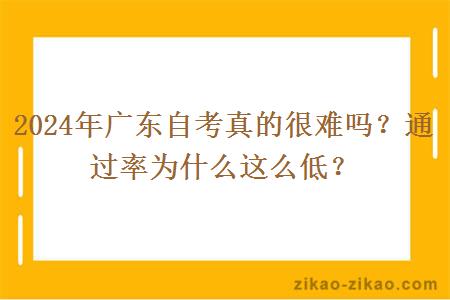 2024年广东自考真的很难吗？通过率为什么这么低？