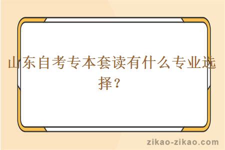 山东自考专本套读有什么专业选择？