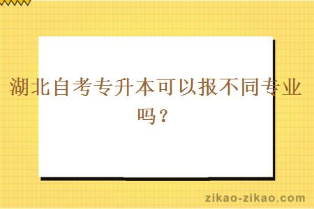 湖北自考专升本可以报不同专业吗？