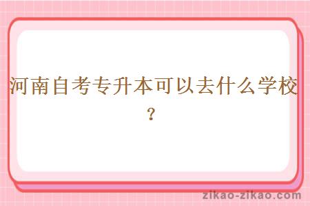 河南自考专升本可以去什么学校？