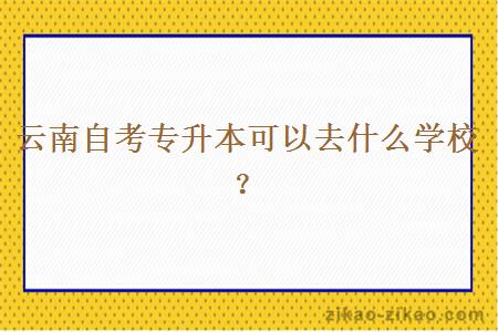 云南自考专升本可以去什么学校？