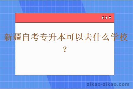 新疆自考专升本可以去什么学校？