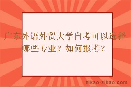 广东外语外贸大学自考可以选择哪些专业？如何报考？