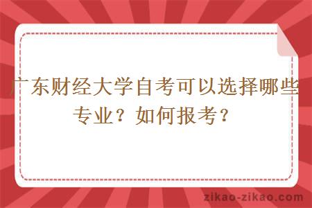 广东财经大学自考可以选择哪些专业？如何报考？